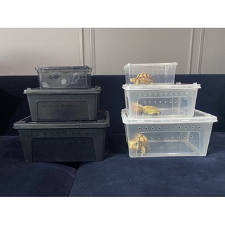 ภาพขนาดย่อของภาพหน้าปกสินค้าReptile Box กล่องเลี้ยงสัตว์เล็ก สัตว์เลื้อยคลาน สัตว์เล็ก ผสมพันธุ์สดกล่อง สำหรับ แมงมุม ตุ๊กแก ฮอร์นฟรอก ตะขาบ แมงป่อง จากร้าน scmanything บน Shopee