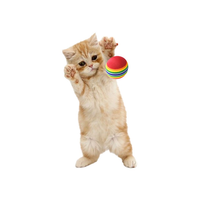 ของเล่นลูกบอลโฟม-eva-สีรุ้ง-กันรอยขีดข่วน-หลากสี-สําหรับสัตว์เลี้ยง-แมว