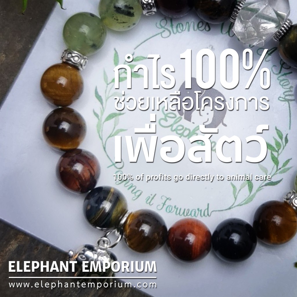 foh-กำไลหินมงคลแท้-กำไร-100-เพื่อช่วยเหลือสัตว์