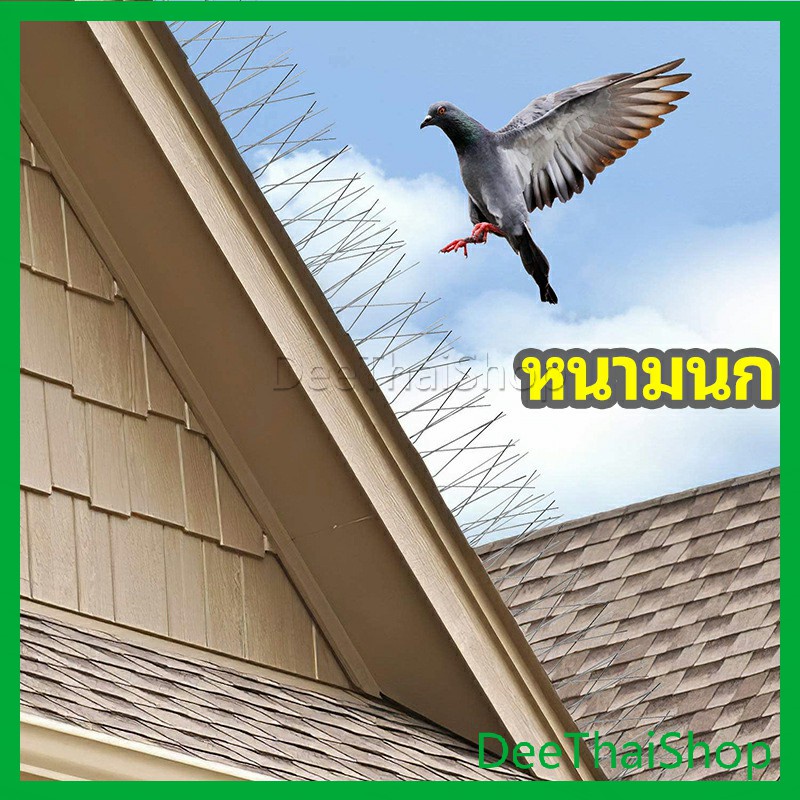 deethai-หนามไล่นก-อุปกรณ์ไล่นกทำรัง-ทนทาน-ทนแดด-ทนฝน-วิธีกำจัดนกพิราบ-bird-thorn