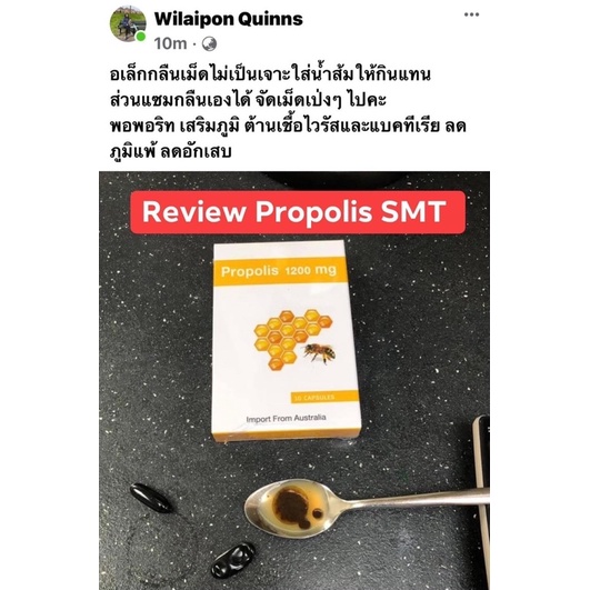 propolis-พรอพอลิส-แผลอักเสบ-สิว-ภูมิแพ้