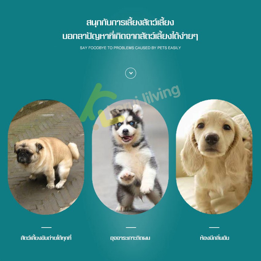 แผ่นรองฉี่-4-ชั้น-แผ่นซับฉี่-แผ่นรองซับ-แบบซักได้-dog-pee-pads-แผ่นรองฉี่สัตว์เลี้ยง-ที่รองซับปัสสาวะ-ดูดซับน้ำได้ดี