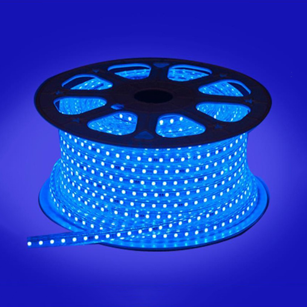 ไฟเส้น LED Rope light Blue 5050 แบบแบน 14mm. ยาว 50 เมตร Shopee Thailand