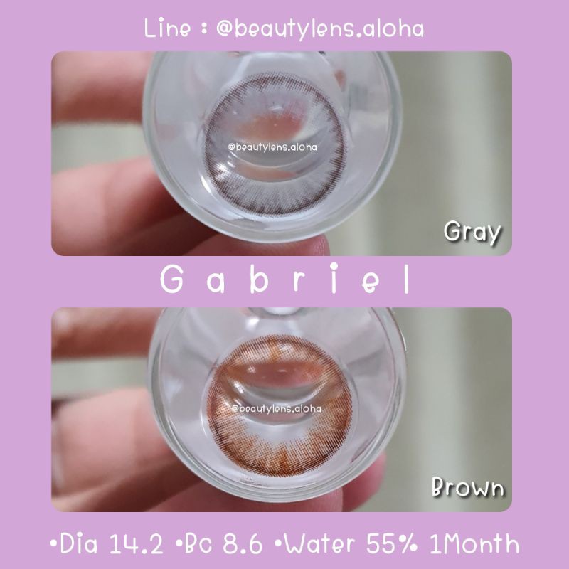 gabriel-brown-gray-สายตา-00-700-รายเดือน