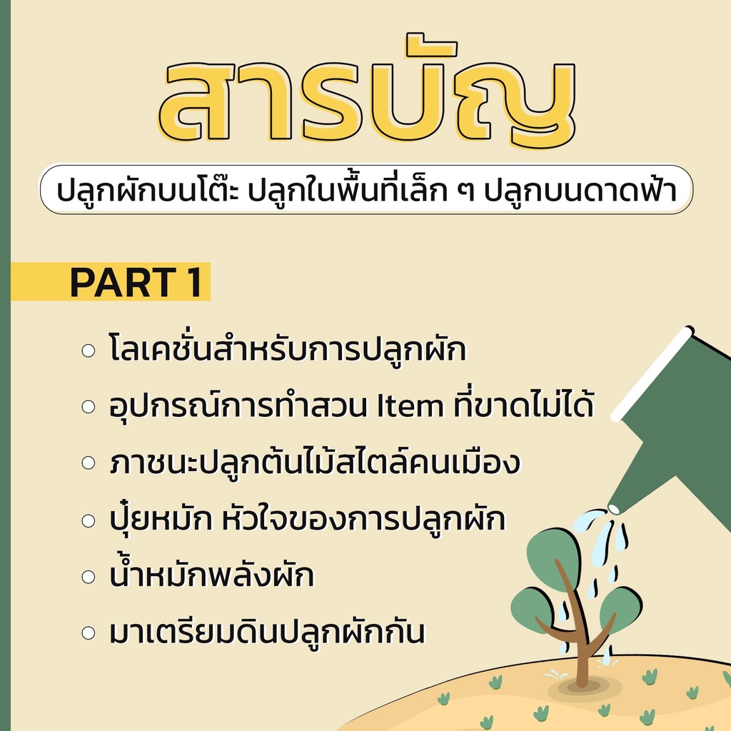 ปลูกผักบนโต๊ะ-ปลูกบนพื้นที่เล็ก-ๆ-ปลูกบนดาดฟ้า-7d-book-เซเว่นดี-บุ๊ค