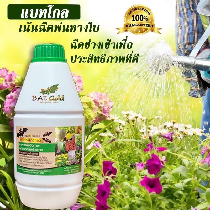 bat-gold-มูลค้างคาวแท้100-สกัดเข้มข้น100-ปุ๋ยมูลค้างคาว-ขี้ค้างคาว-แบทโกล