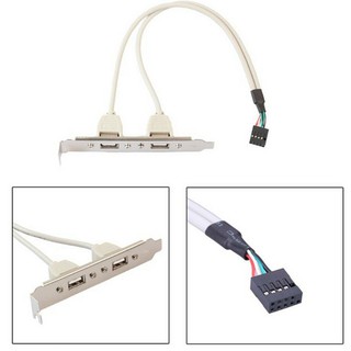 ภาพหน้าปกสินค้า(2หรือ4) Ports USB 2.0 Port Panel Cable Female Screw to Motherboard 9pin Header Panel Mount Cable ที่เกี่ยวข้อง