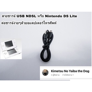 สายชาร์จ Nintendo DS Lite,NDSL,ds lite,ndsl สาย usb