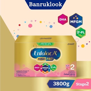 สินค้า Enfalac เอนฟาแล็ค เอพลัส สูตร 2 สำหรับ เด็กตั้งแต่ 6 เดือน ถึง3ปี ขนาด 3800กรัม