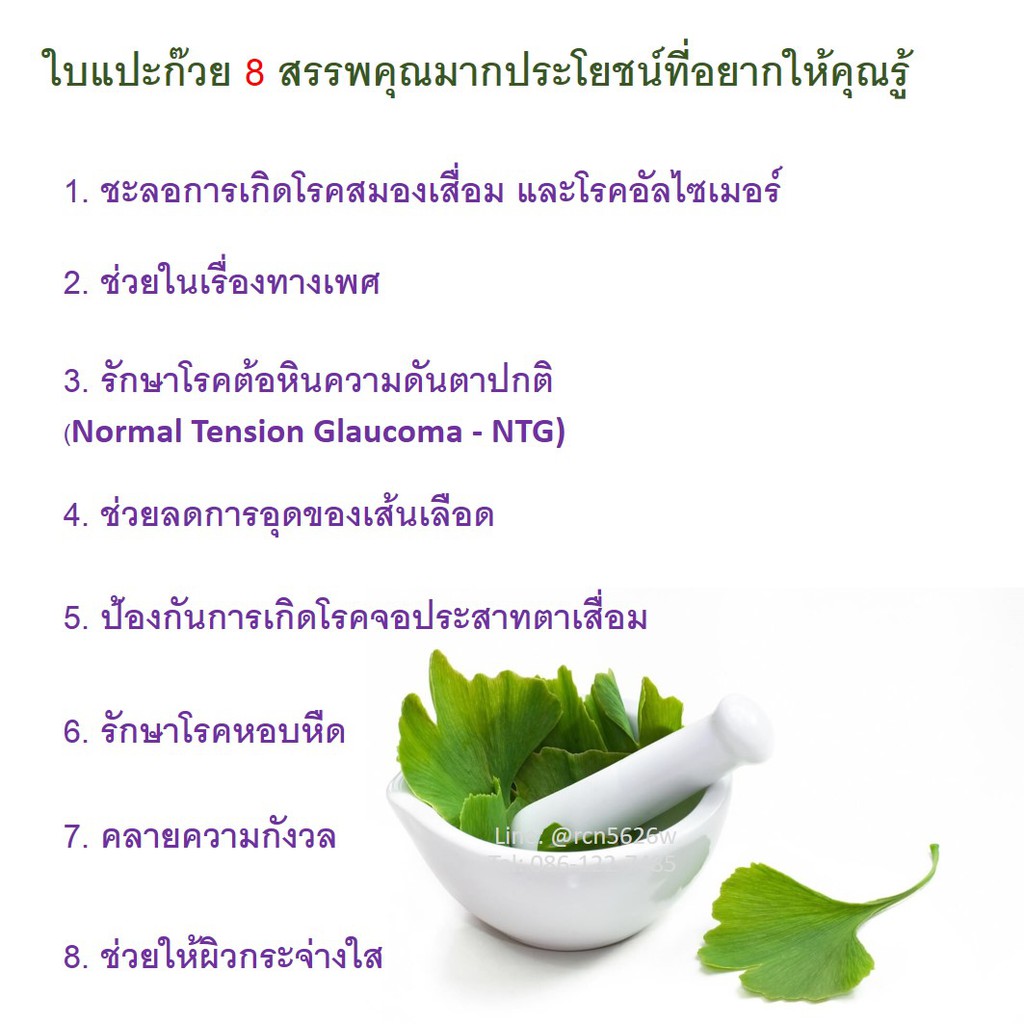 มีโปร-กิฟฟารีน-ผลิตภัณฑ์เสริมอาหารจิงโกลา-ใบแป๊ะก๊วย-ช่วยเพิ่มความทรงจำในผู้สูงอายุ-ช่วยอาการเสียงในหู-tinnitus