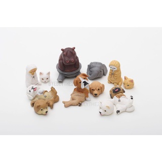 [1 เซ็ต 6 ตัว]StaSto กาชาปองแมว โมเดลแมว กาชาปองหมา Figure Gashapon Capsule Toys Animal Attraction ของแท้