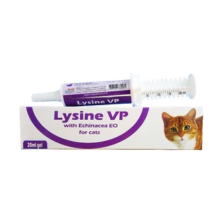 ภาพหน้าปกสินค้าLysine VP ไลซีน วีพี ผลิตภัณ์เสริมไลซีน สำหรับ แมว ขนาด 20 ml ที่เกี่ยวข้อง