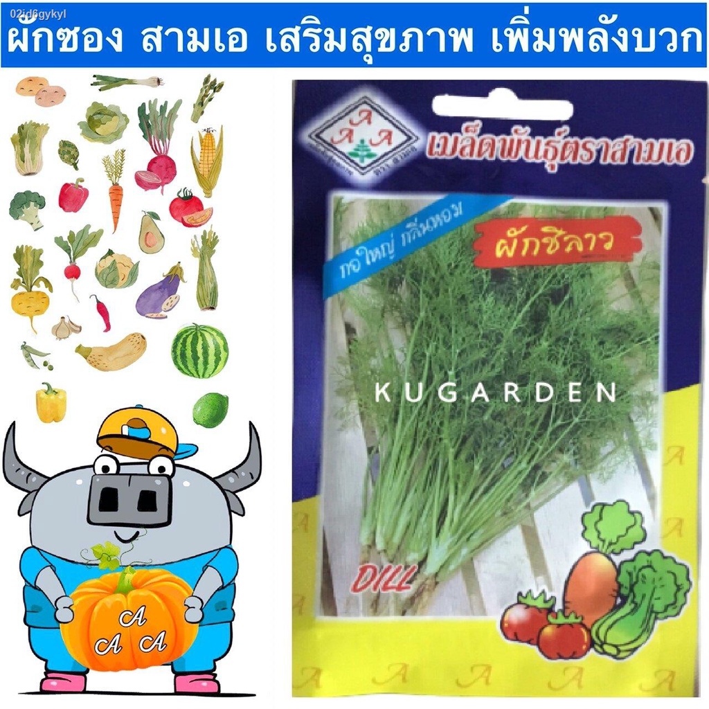 aaa-ผักซอง-สามเอ-a027-ผักชีลาว-เมล็ดพันธุ์-เมล็ดพันธุ์ผัก-เมล็ดพันธุ์-ผักสวนครัว-ตราaaa