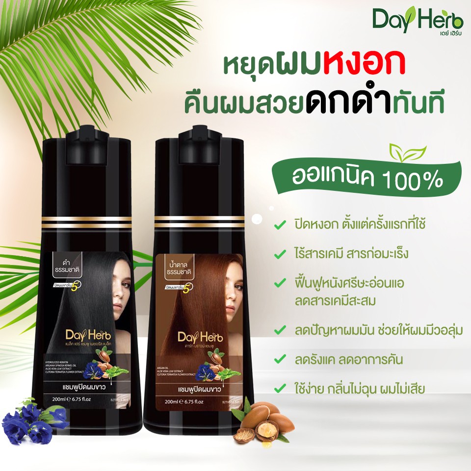 dayherb-แชมพูปิดผมขาว-สมุนไพรแท้-ปิดหงอก-ลดหงอก-ใน-5-นาที