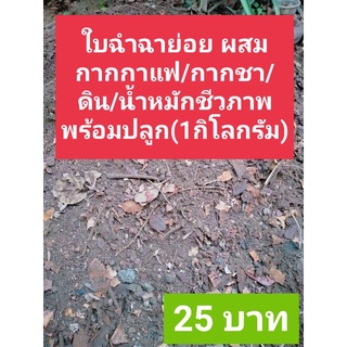 ใบฉำฉาหมัก ผสม กากชา+กากกาแฟ+ดิน ผ่านการย่อยโดยปลวก (1กิโลกรัม)/#ใบก้ามปู#ใบต้นจามจุรี#ใบฉำฉา