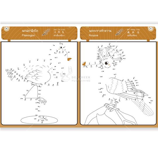 connect-dots-amp-draw-ภาค-3-ลากเส้นต่อจุด-ไดโนเสาร์-ดอกไม้-ยานพาหนะ-สัตว์มีปีก