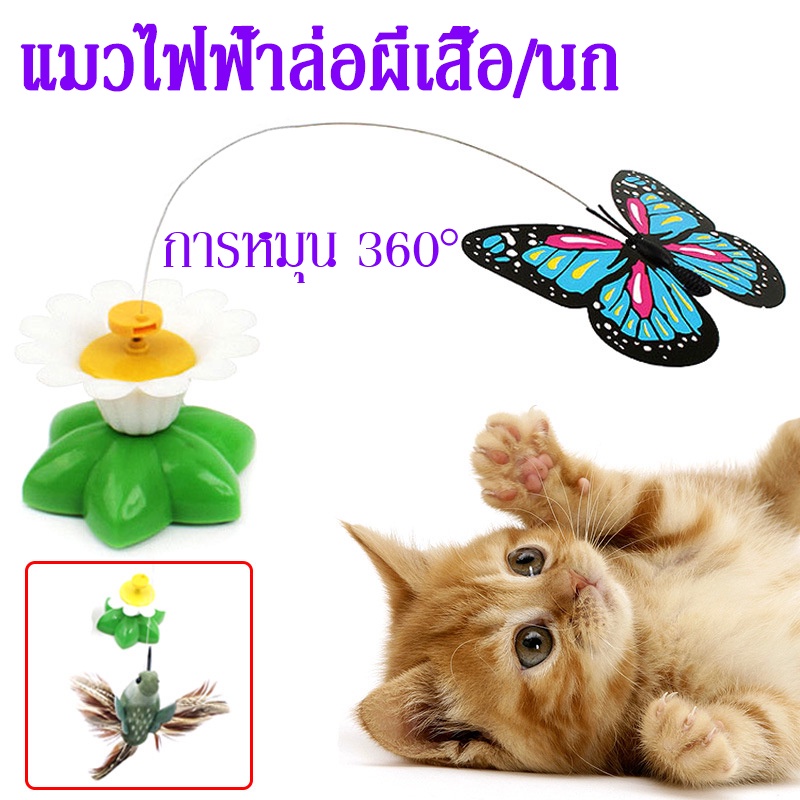 พร้อมส่ง-ของเล่นแมว-นกบิน-ผีเสื้อบิน-ผีเสื้อล่อแมว-ใส่ถ่าน-บินอัตโนมัติ-ไล่จับผีเสื้อ-ของเล่นสำหรับสัตว์เลี้ยง