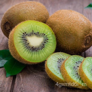 (ผู้ค้าส่งเมล็ดพันธุ์) เมล็ดพันธุ์กีวีนำเข้า(Kiwi)20เมล็ดถูกที่สุด 9 บ.เมล็ดกีวีออร์แกนิคส์โตไวมีสารต้านอนุมูลอิสระสูงปล