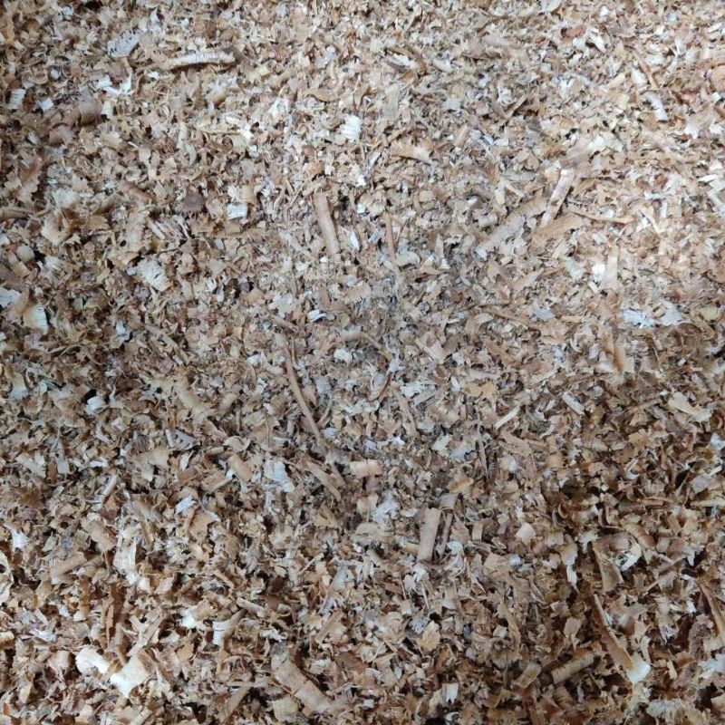 ขี้กบขี้เลื่อยไม้สัก-wood-shavings-ไม่กรองฝุ่น1กิโลกรัม