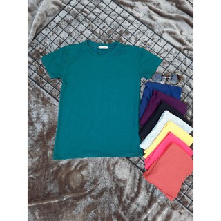 เสื้อคอกลม เสื้อเรย่อนผ้าเด้ง สีสวยเนื้อผ้าดีมาก