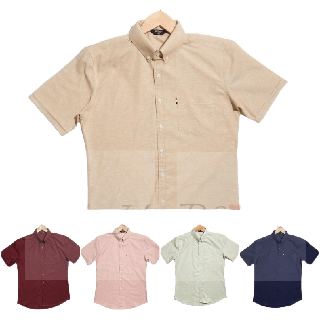 เสื้อเชิ้ตคอ*ปก* แขน *สั้น* ผ้า Premium Oxford By BSizeU ทรงเข้ารูป รีดง่ายยับยาก ยิ่งซักยิ่งนิ่ม