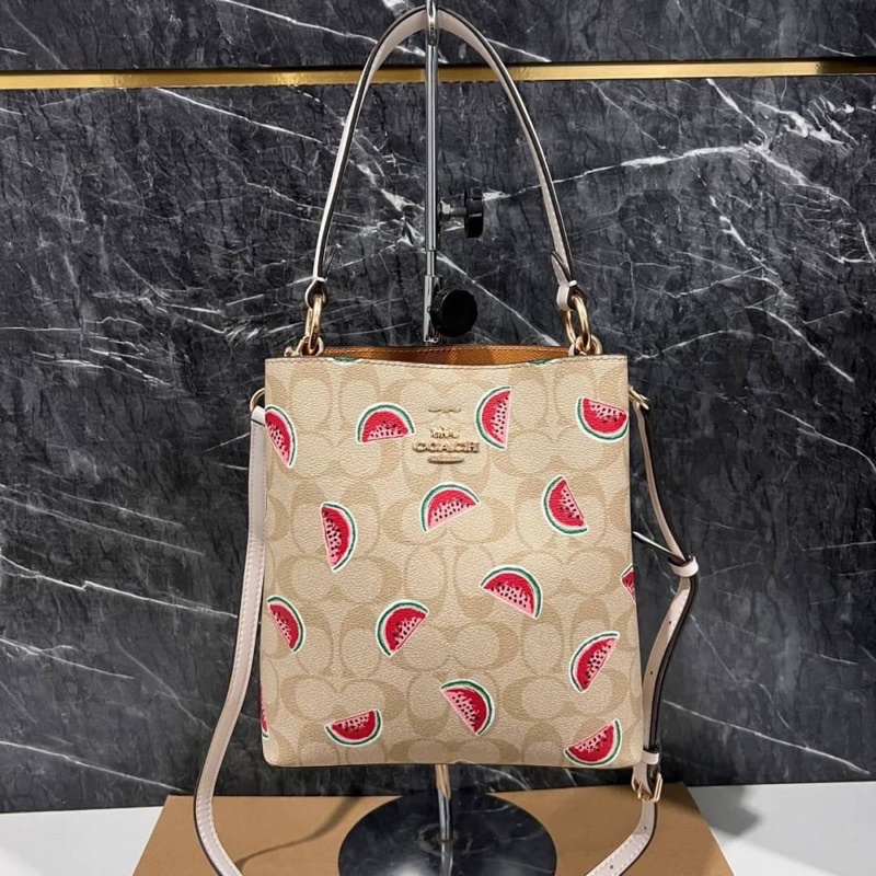 coach-1619-small-town-bucket-bag-in-signature-canvas-with-watermelon-print