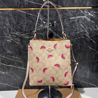 COACH 1619 SMALL TOWN BUCKET BAG IN SIGNATURE CANVAS WITH WATERMELON PRINT