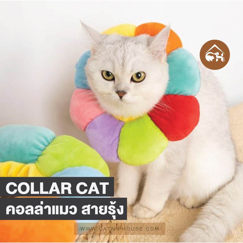 ภาพหน้าปกสินค้าพร้อมส่ง Collar Cat คอลล่าแมว ดอกทานตะวัน สายรุ้ง คอลล่าสัตว์เลี้ยง ปลอกคอกันเลีย คอลล่ากันเลีย จากร้าน catniphouseshop บน Shopee