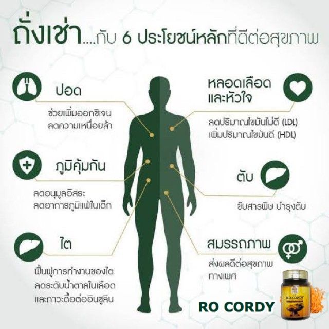 r-o-cordy-rocordy-r-o-cordy-อาร์โอ-คอร์ดี้