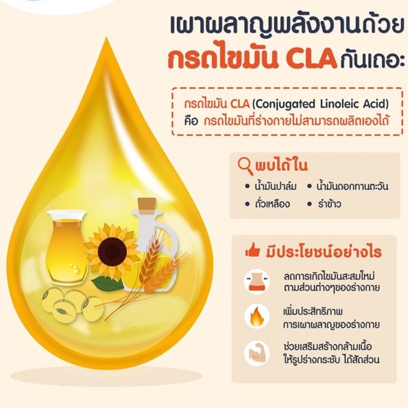 พร้อมโปร-ซีแอลเอ-900-ควบคุมน้ำหนัก-ซีแอลเอ-cla900-giffarine-น้ำมัน-ดอกคำฝอย-ลดน้ำหนัก-ลดเซลลูไลท์-เร่งเผาผลาญ