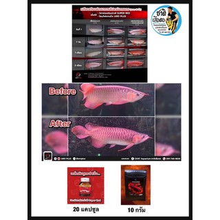 AROPLUS - red burn  วิตามินเร่งสีสำหรับปลามังกรแดง 10 g. แบบผงคลุก ปลอดภัยกับตัวปลา