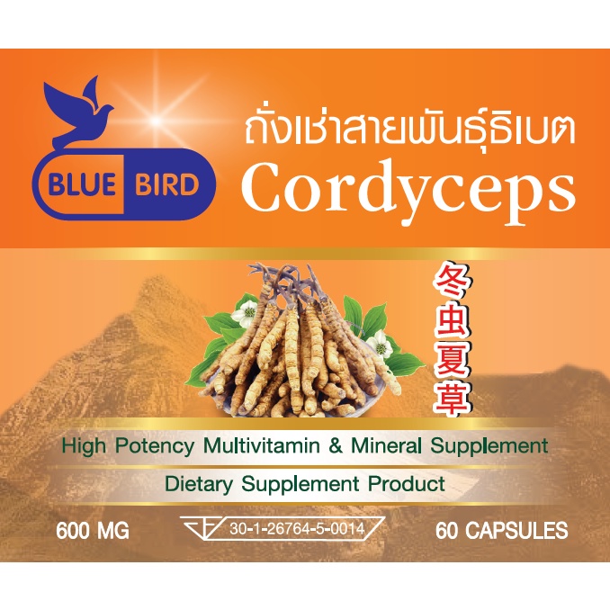 ถั่งเช่า-ตังถั่งเช่าสายพันธุ์ธิเบต-cordyceps-ตรา-บลูเบิร์ด-ขนาด-600-มิลลิกรัม-30-และ-60-แคปซูล