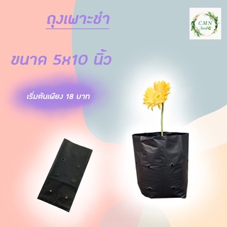 ถุงเพาะชำ ขนาด 5×10 ครึ่งกิโล ได้ 40 ใบ/แพ็ค ราคา40บาท