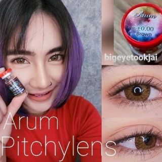 💟 Pitchylens ๑ Arum สายตา -00 ถึง -1000 brown gray Contactlens บิ๊กอาย คอนแทคเลนส์ ราคาถูก แถมตลับฟรี