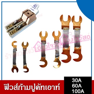 ฟิวส์ก้ามปูคัทเอาท์ ขนาด 30A / 60A / 100A