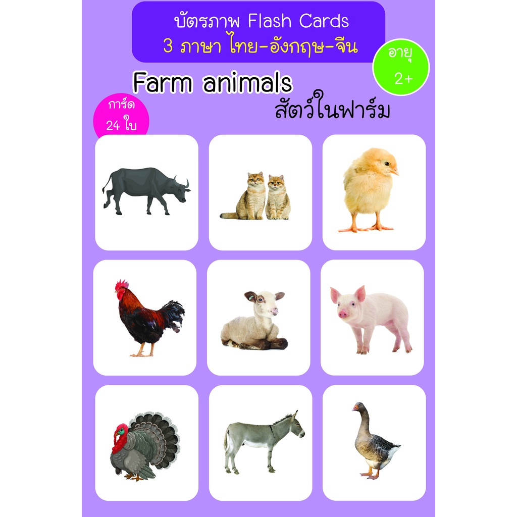 บัตรภาพ-flash-cards-สัตว์ในฟาร์ม