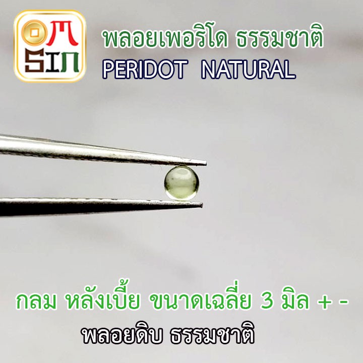 a187-omsin-เฉลี่ย-3-มิล-หลังเบี้ย-กลม-พลอยเพอริโด-peridot-สีเขียวอ่อน-พลอยสด-ไม่เผา-ธรรมชาติแท้