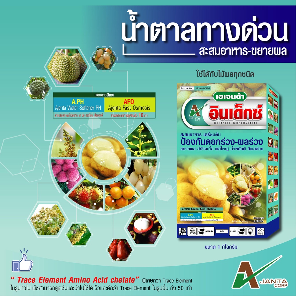 น้ำตาลทางด่วน-เอเจนต้า-สะสมอาหาร-ฟื้นต้นโทรม-พืชใช้ได้ทันที