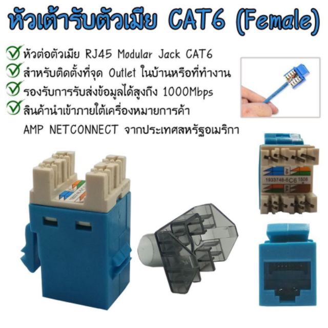 xll-เต้ารับหัวแลนตัวเมีย-amp-cat6-rj45-modular-jack