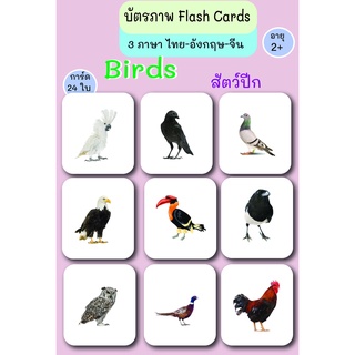 บัตรภาพ Flash Cards สัตว์ปีก