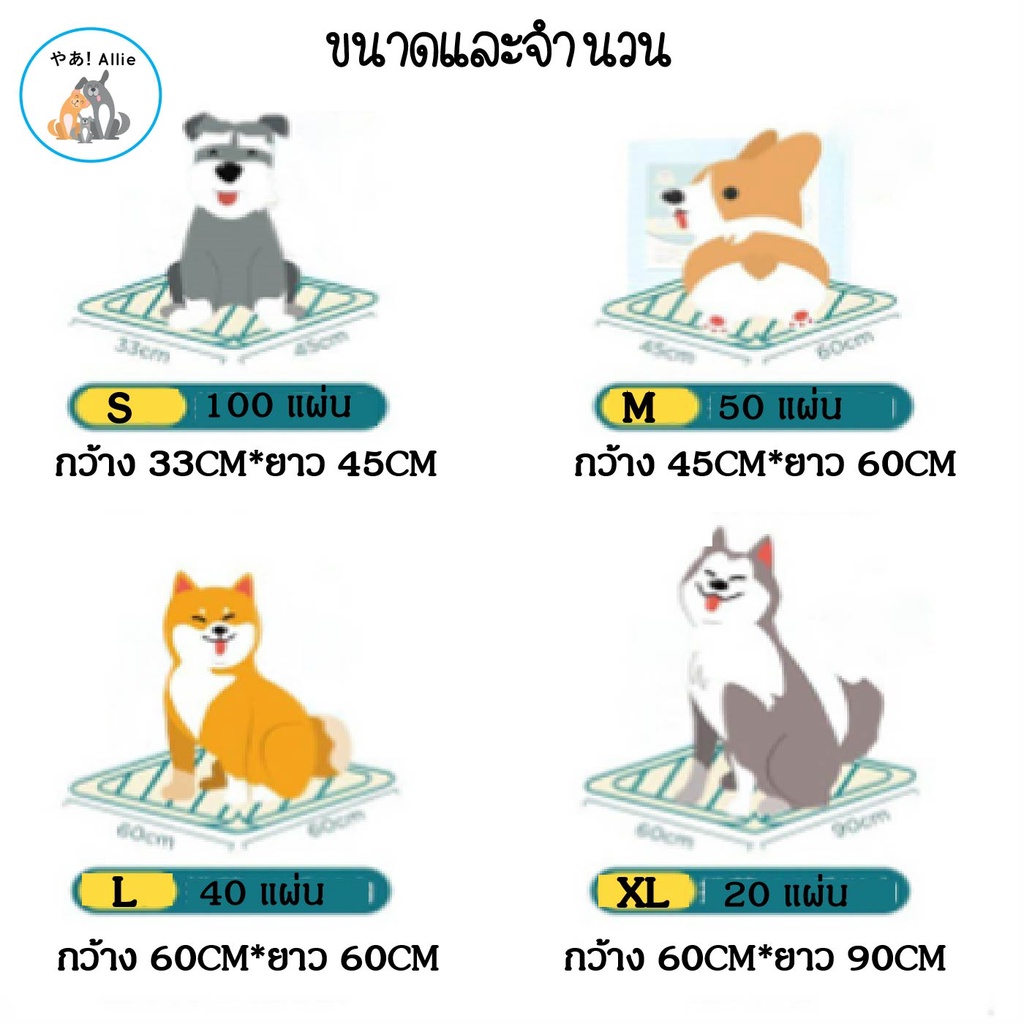 แผ่นรองฉี่-จาก-pet-corner-แผ่นรองฉี่น้องหมา-น้องแมว-ช่วยฝึกขับถ่ายสุนัขและสัตว์เลี้ยง