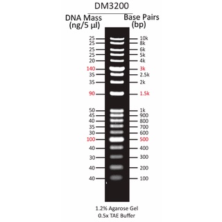 DM3200 ExcelBand DNA Ladder 1KB Plus (0.1-10 kb) 500 uL DNA Marker PCR ...
