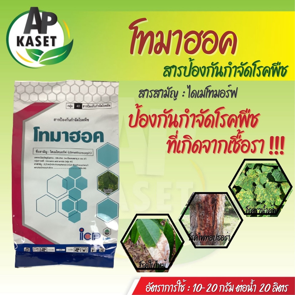 ยากำจัดเชื้อรา-ไดเมโทมอร์ฟ-50-โทมาฮอค-สารเดียวกับฟอรัม-ป้องกันและกำจัด-เชื้อไฟทอปธอร่า-ฟิวซาเรียม-ขนาด-1-กิโลกรัม