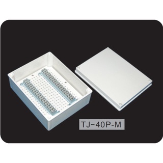 TJ-40P-M : Terminal Block Box IP66 (กล่องพลาสติก พร้อมเทอร์มินอลบล็อก)TIBOX , Size : 250x200x100 mm.