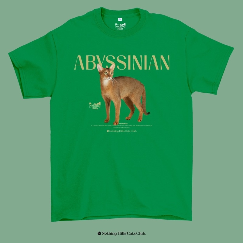 เสื้อยืดลาย-abyssinian-cat-อะบิสซิเนียน-classic-cotton-unisex-by-nothing-hills-ใหม่