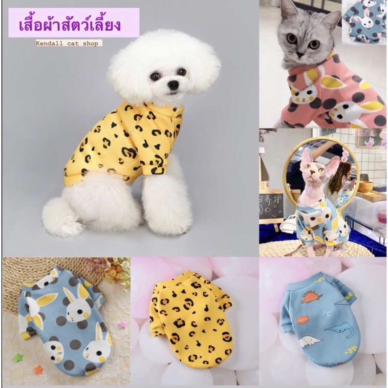 รูปภาพสินค้าแรกของเสื้อแมว เสื้อหมา เสื้อผ้าสัตว์เลี้ยง (พร้อมส่งจากไทย)