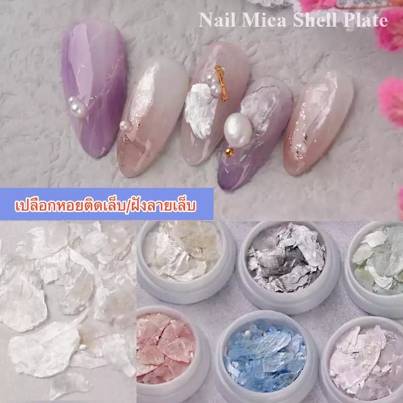 พร้อมส่ง-เปลือกหอยติดเล็บ-เปลือกหอยฝังลายเล็บ-เปลือกหอยแบบบาง