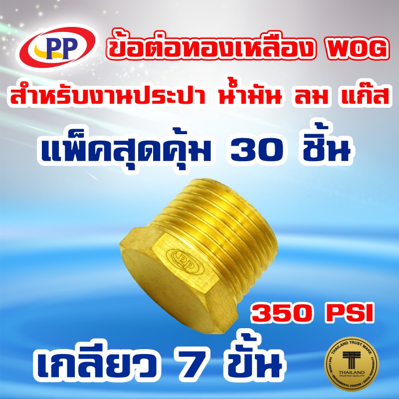 ข้อต่อทองเหลืองปลั๊กอุด-pp-พีพี-ตัวผู้-lt-เกลียวนอก-gt-ขนาด-3-4-6หุน-wog-ประปา-น้ำมัน-ลม-แก๊ส-แพ็ค-30-ชิ้น