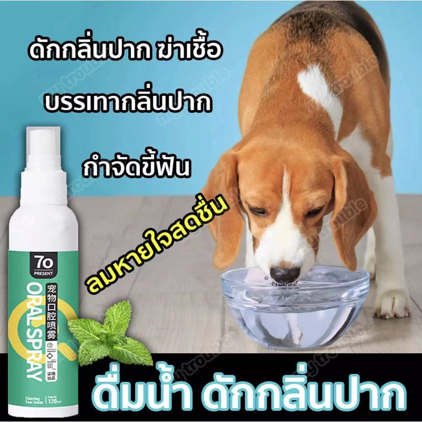 น้ำยาดับกลิ่นปากสุนัข-สเปรย์ดับกลิ่นปากสุนัข-สเปรย์ดับกลิ่นปากแมว-ดับกลิ่นปากสัตว์เลี้ยง-ขจัดคราบพลัคสูตรธรรมชาติ-น้ำยาล