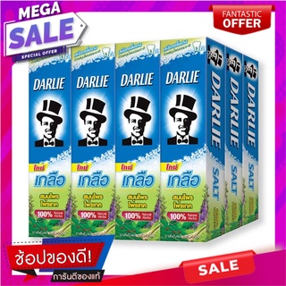 ดาร์ลี่ ยาสีฟัน สูตรเกลือสมุนไพร ขนาด 35 กรัม แพ็ค 12 กล่อง ผลิตภัณฑ์ดูแลช่องปากและฟัน Darlie Toothpaste Salt Herbal 35